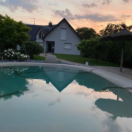 Grande Maison Au Calme Ensisheim Exterior foto